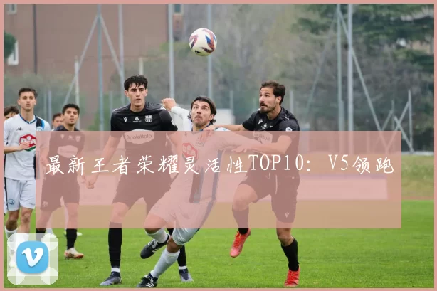 最新王者荣耀灵活性TOP10：V5领跑