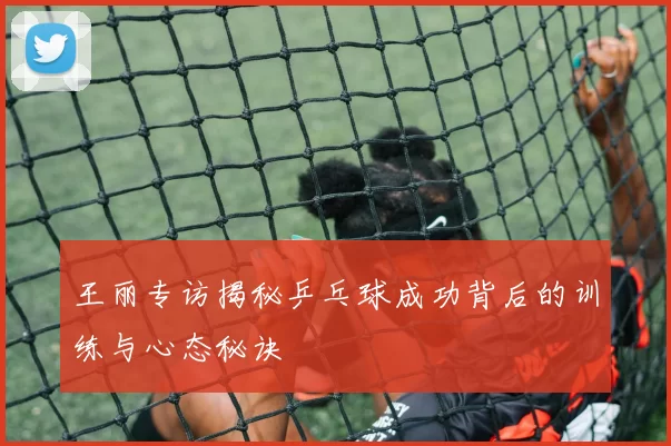 王丽专访揭秘乒乓球成功背后的训练与心态秘诀